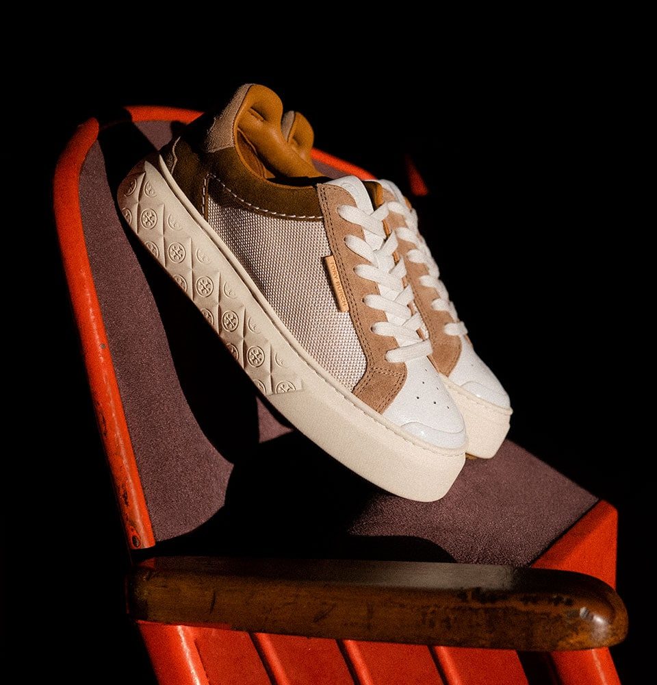 Dazed x TB Lady Luck 2